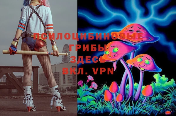 прущая мука Кулебаки