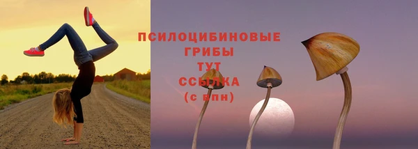 прущая мука Кулебаки