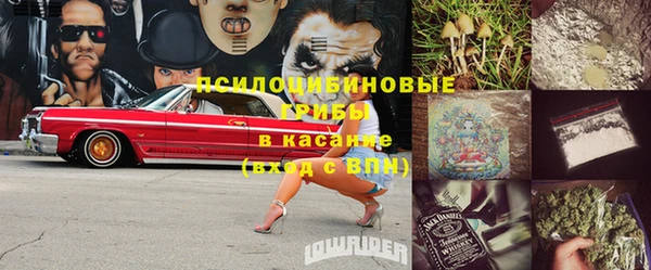 прущие грибы Куйбышев