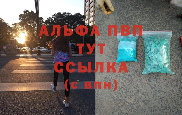 прущие грибы Куйбышев