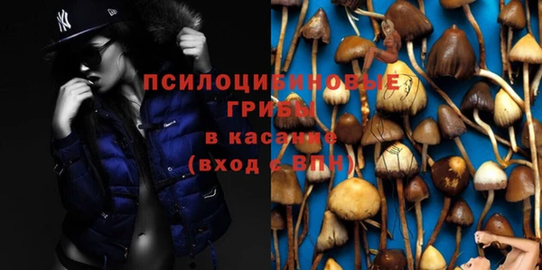 прущая мука Кулебаки
