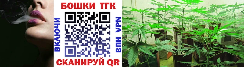 купить наркотик  блэк спрут как войти  Бошки марихуана тримм  Цивильск 